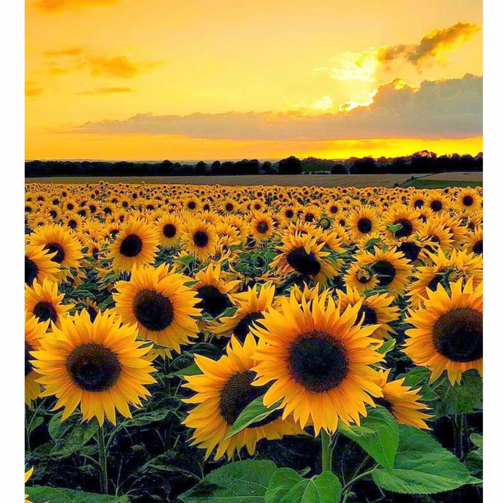 Meet your Posher, Giselle